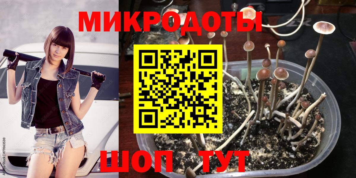 Гатчина  Галлюциногенные грибы MAGIC MUSHROOMS  Вход с VPN 
