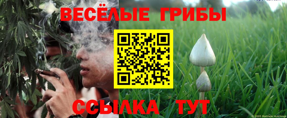Галлюциногенные грибы Magic Shrooms Гатчина